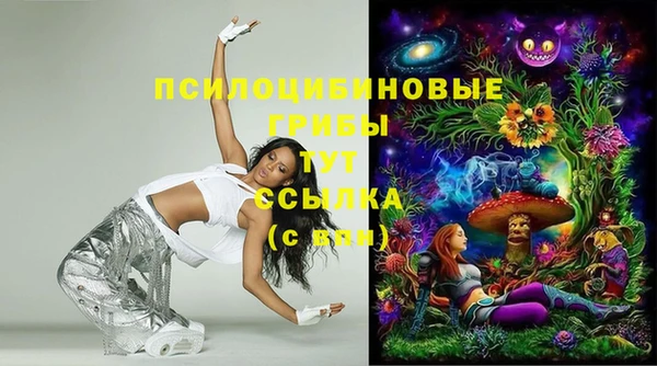 спиды Мегион
