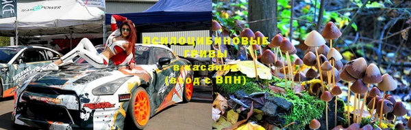 мескалин Медвежьегорск