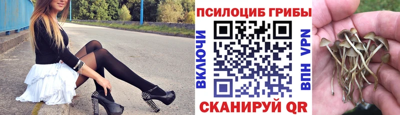 Галлюциногенные грибы MAGIC MUSHROOMS Красный Сулин