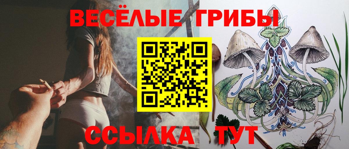 Красный Сулин  Галлюциногенные грибы мицелий  Вход с VPN  Псилоцибиновые грибы мухоморы 